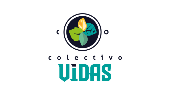 Colectivo en Defensa del Agua Selva y Vida del territorio Maya (Colectivo ViDAS)